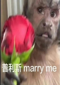 中午吃了牛肉拌米饭会咳嗽吗